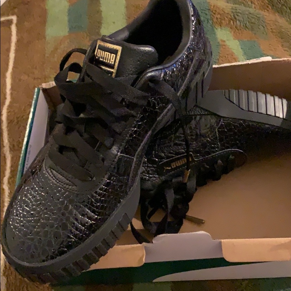 Pumas